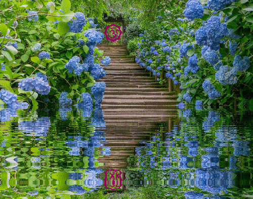 the beautiful path
